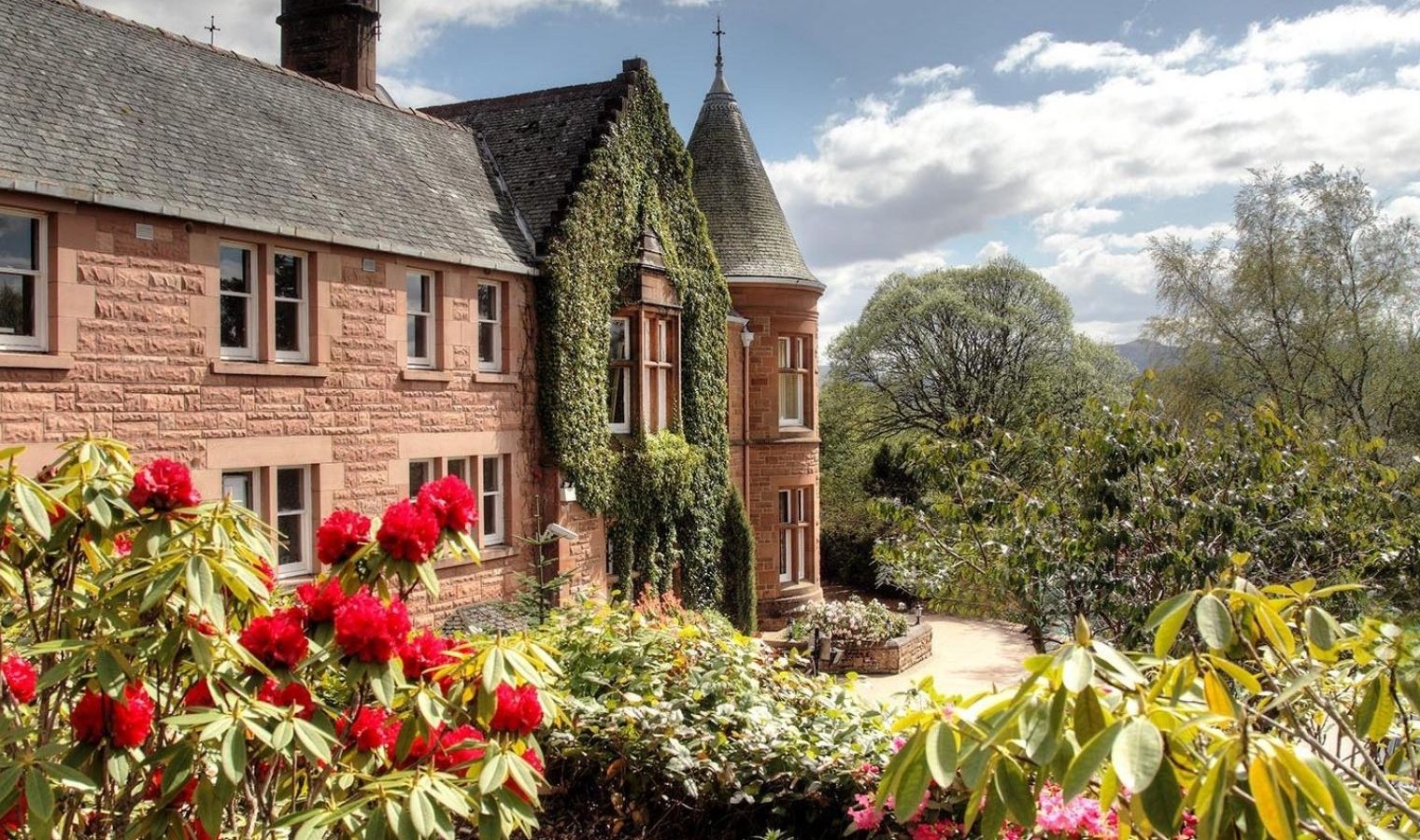 What's New on Resort