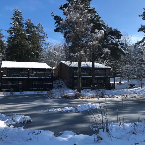 Around The Estate 18