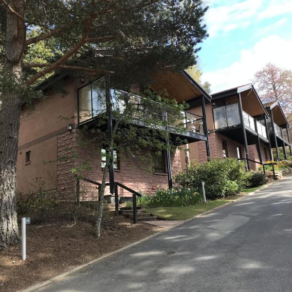 Around The Estate 4
